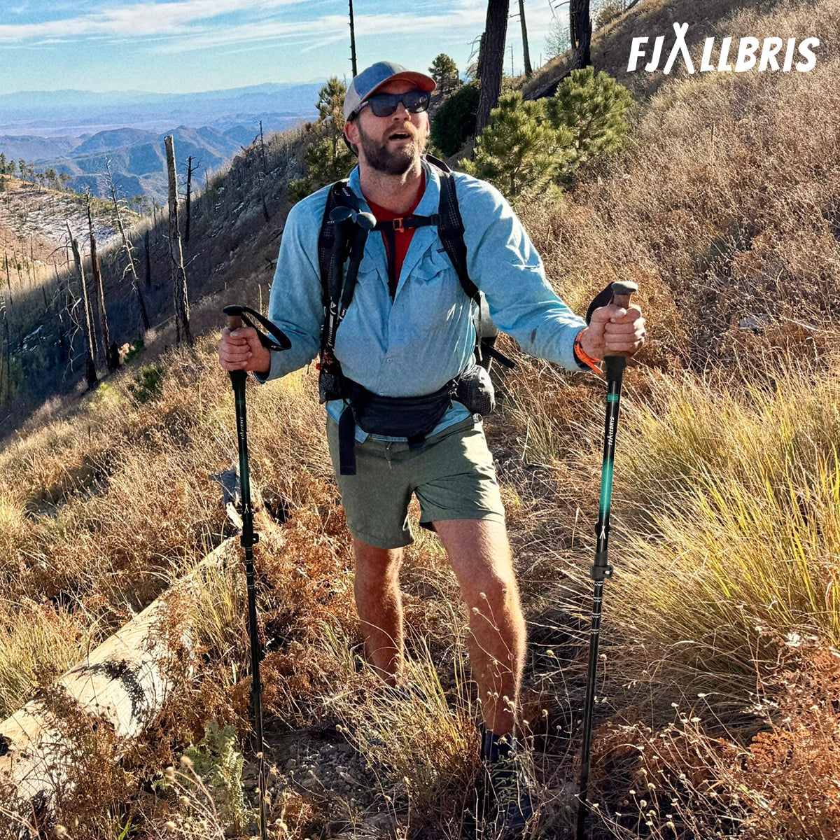 Ultralight Hiking Poles