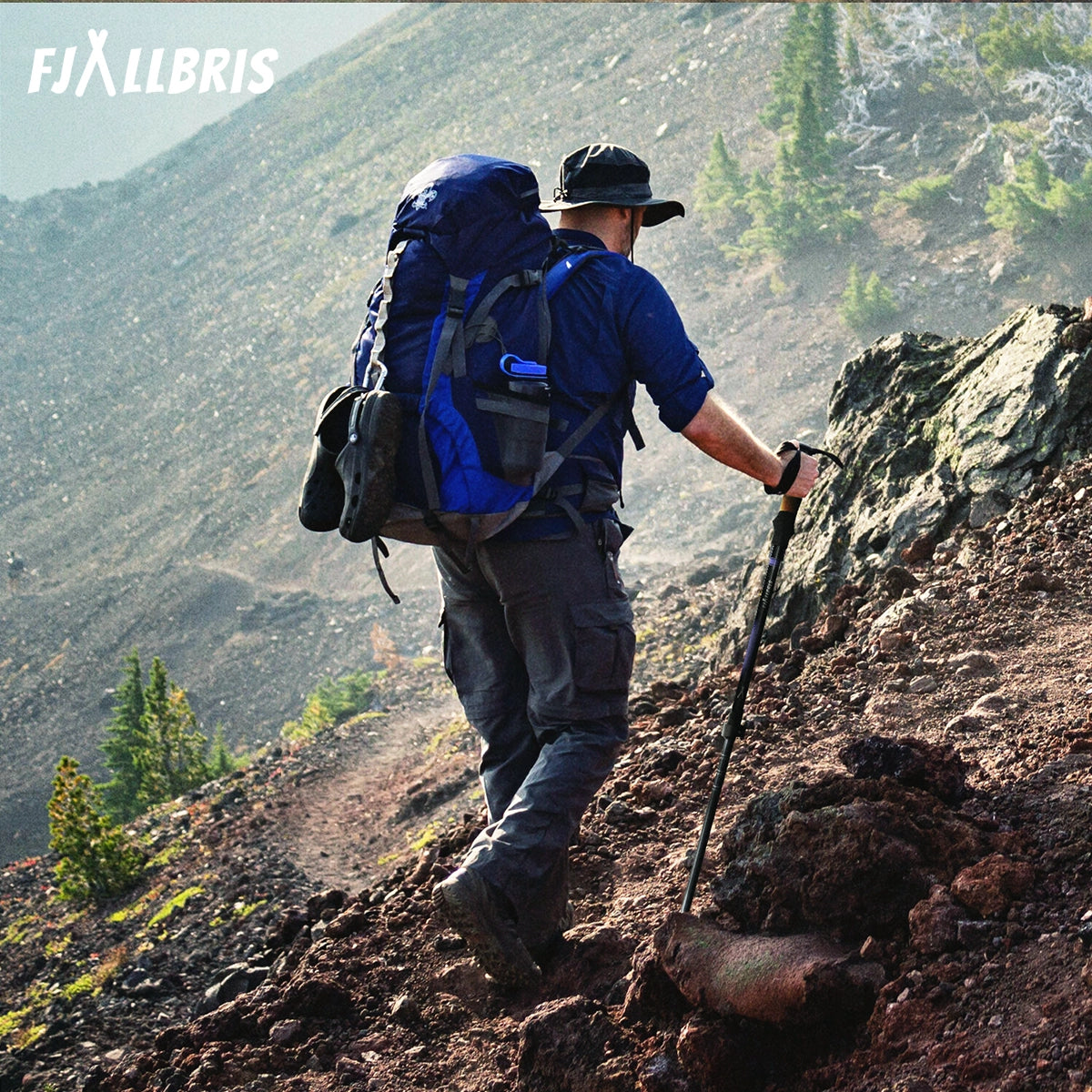 Ultralight Hiking Poles